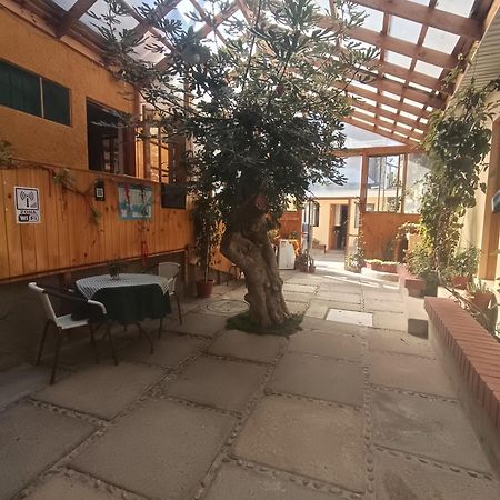 Hostal Julia El Quisco Dış mekan fotoğraf